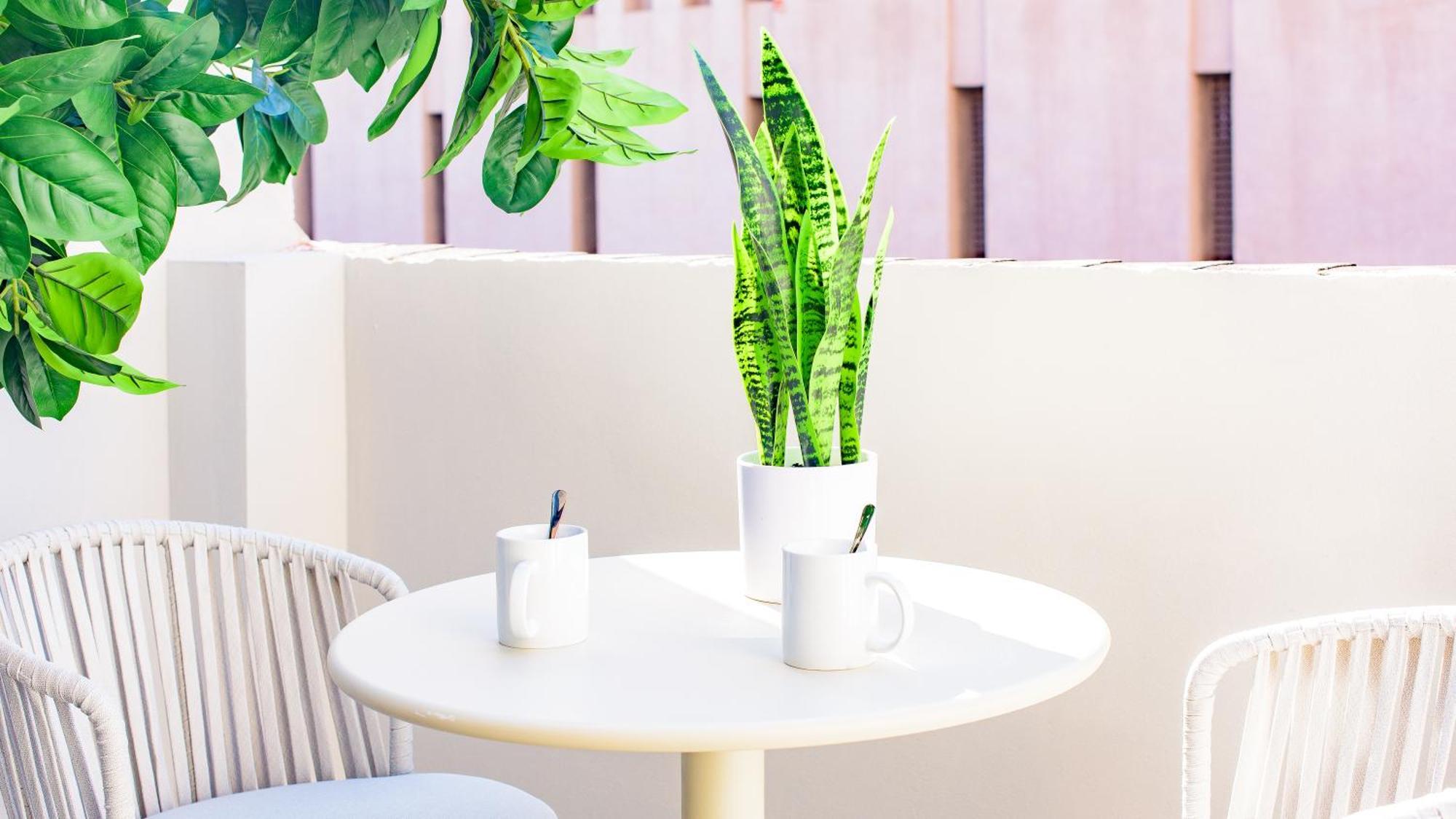Myflats Premier Suites Alicante Extérieur photo